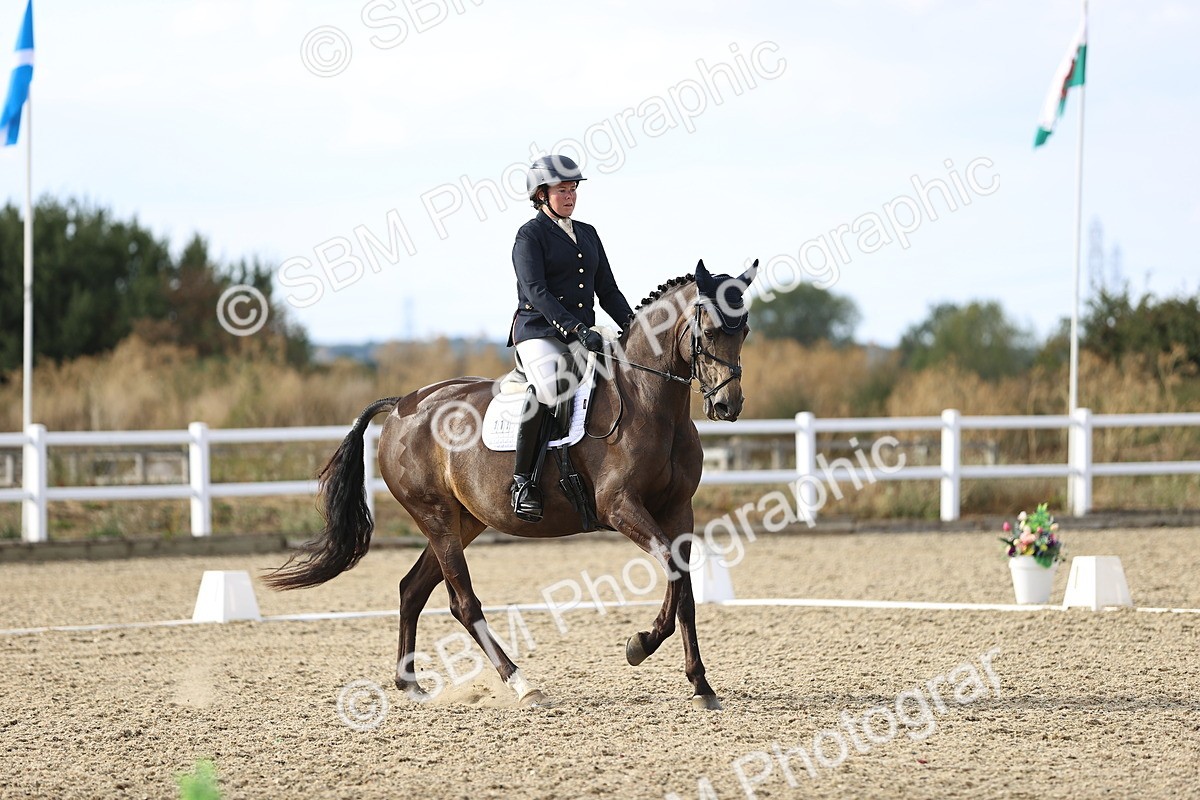 SBM_016120 - Class 5 - E5 Bronze  16.18.17.22