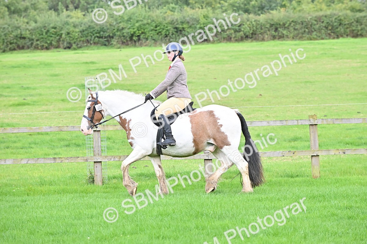 SBM_42884 - S12 - Family Horse & Pony