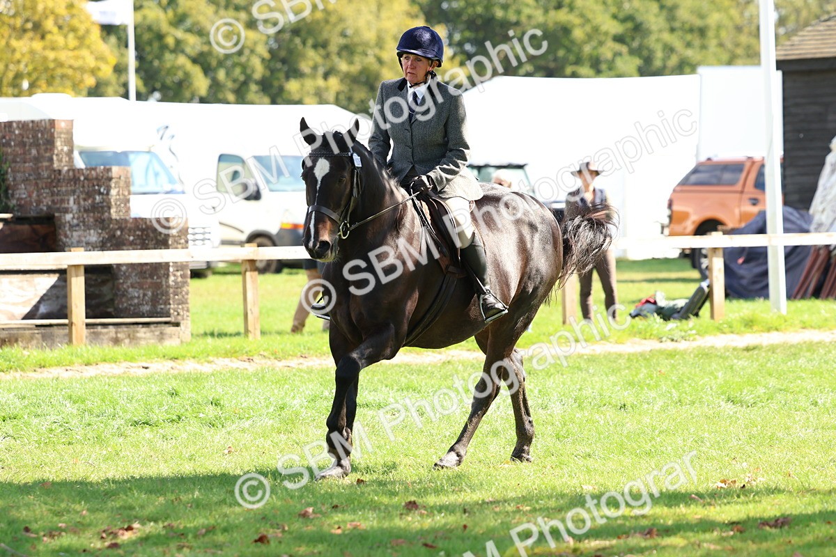 SBM_45257 - S27 - Young Veteran Ridden