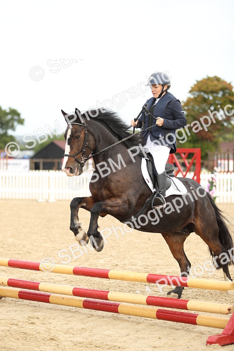 SBM_02008 - J34 - Veteran Rider 50cm