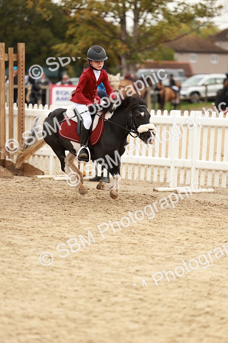 SBM_57933 - J11 - Junior Pony 50cm Championship