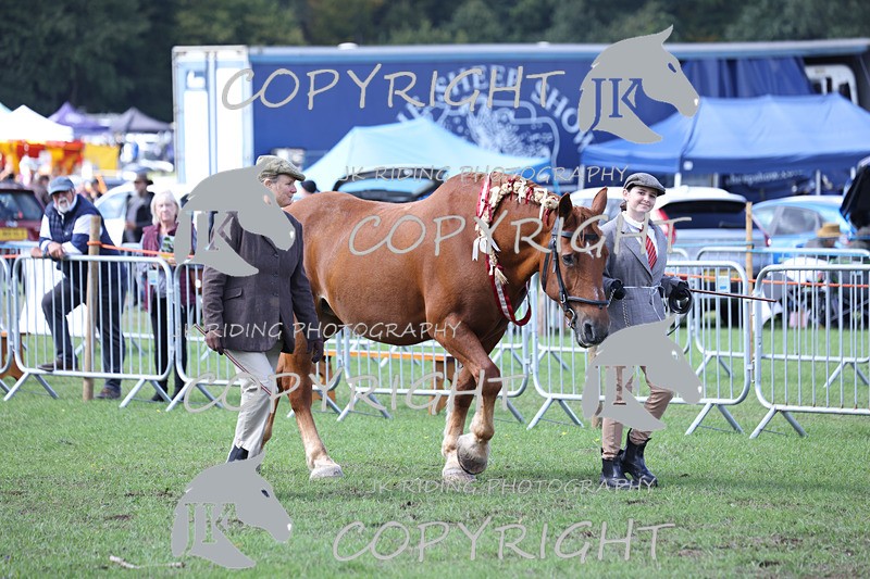 APP_3424 - Class 6 Young Handlers