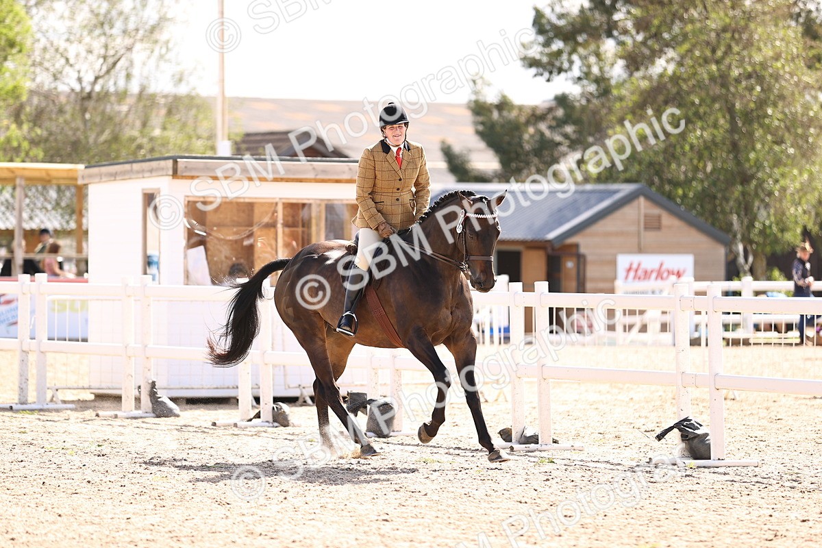 SBM_12982 - Class 410 - Grassroots Ridden - Horse
