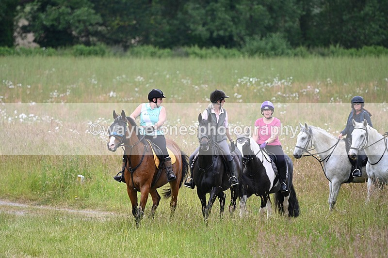 WJ6_8338 - Camera 1 Gallops