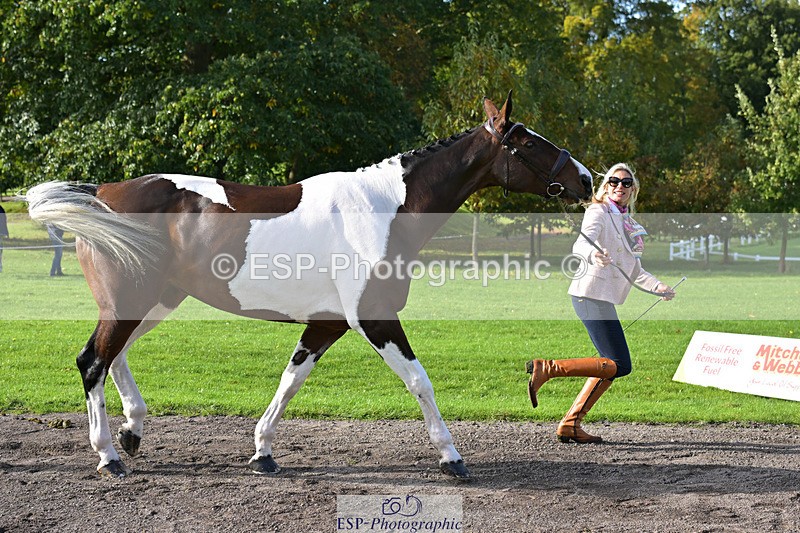 241023-130614-00071 - 004-Claire.Deuten-FOXRIDGE.HIGH.JINX