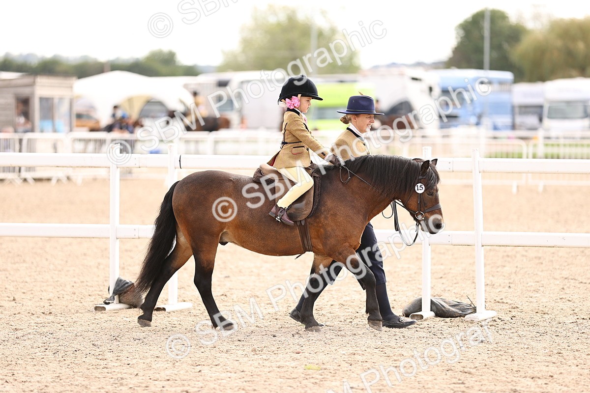 SBM_16129 - Class 420 - Horse-Pony Judge would most like to take home (IH or Ridden) Jnr