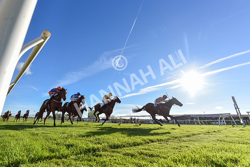 291024-Race 4-Rwenearlytheredad-8688 - Race 4