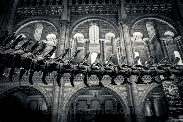 Natural History Museum, London, UK