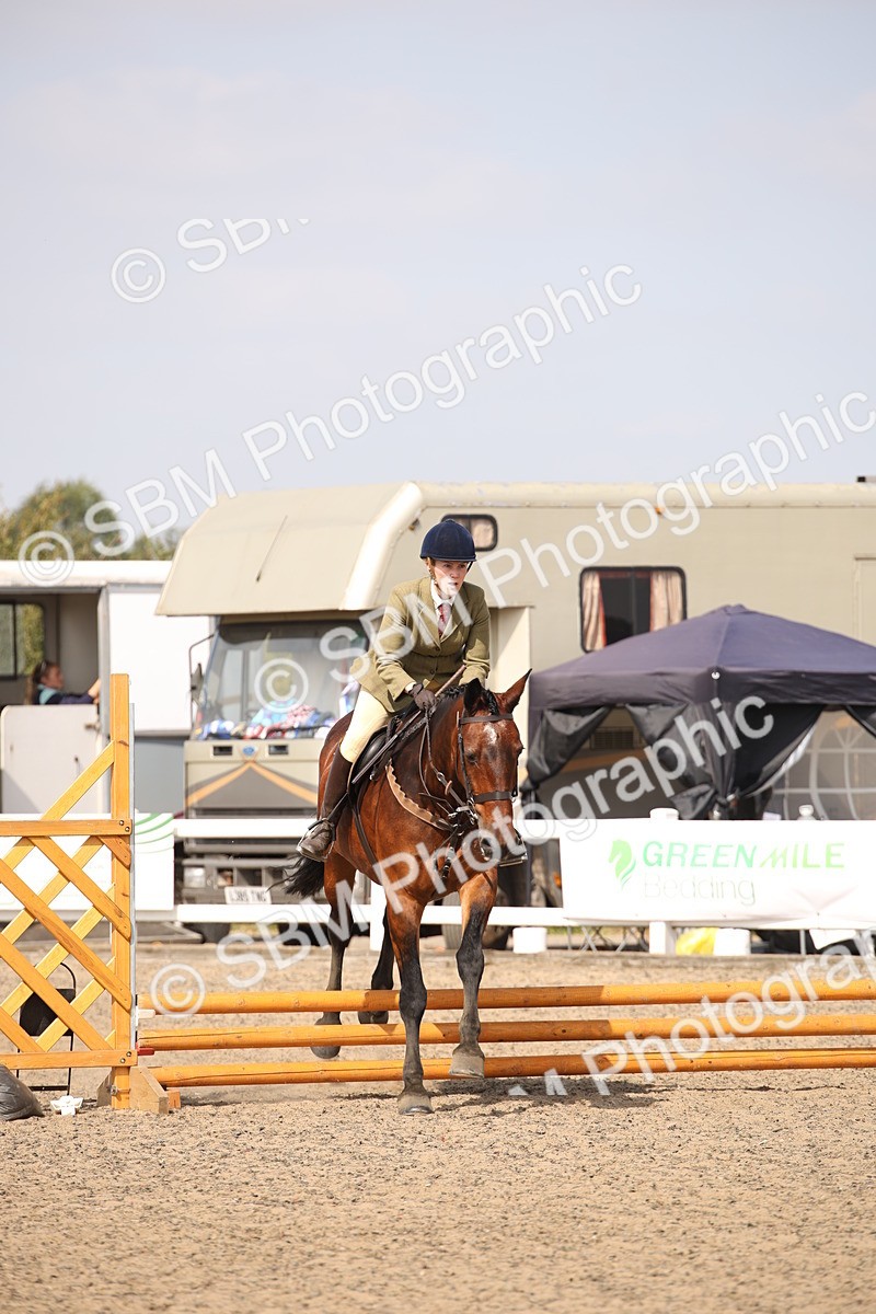 SBM_14351 - Class 407b - Working Veteran 60cm (20+)