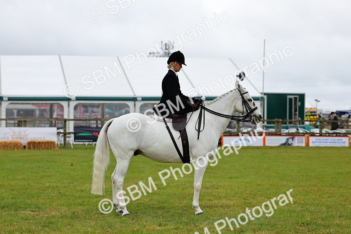 SBM_02746 - Class 9-11 Side Saddle including LIHS Rising Star Ladies Show Horse
