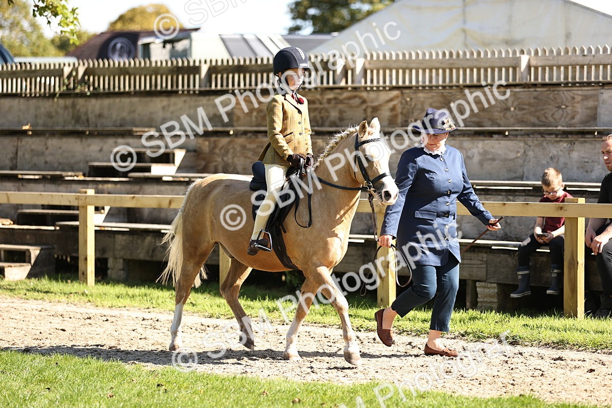 SBM_19233 - S3 - TSR Ridden Pony Showing