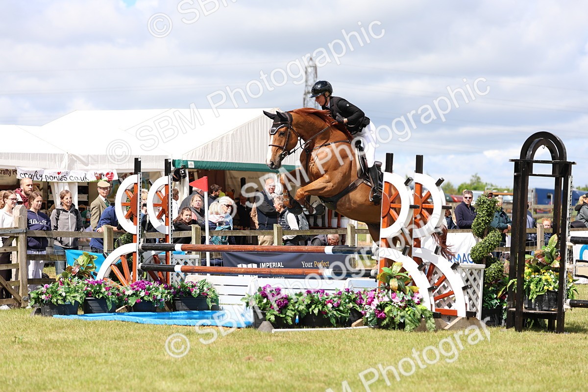 SBM_13594 - Class 206 - Senior Newcomers - 1.10m Open