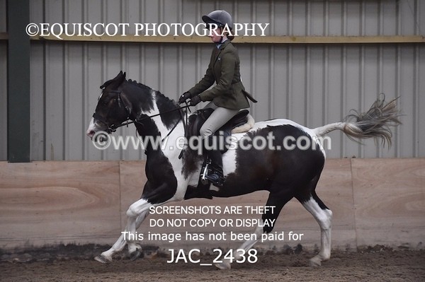 JAC_2438 - CLASS 3 Intermediate Working Hunter