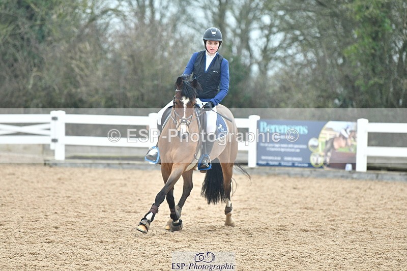 230312A-131645-02416 - Cls 26 Pony Fox
