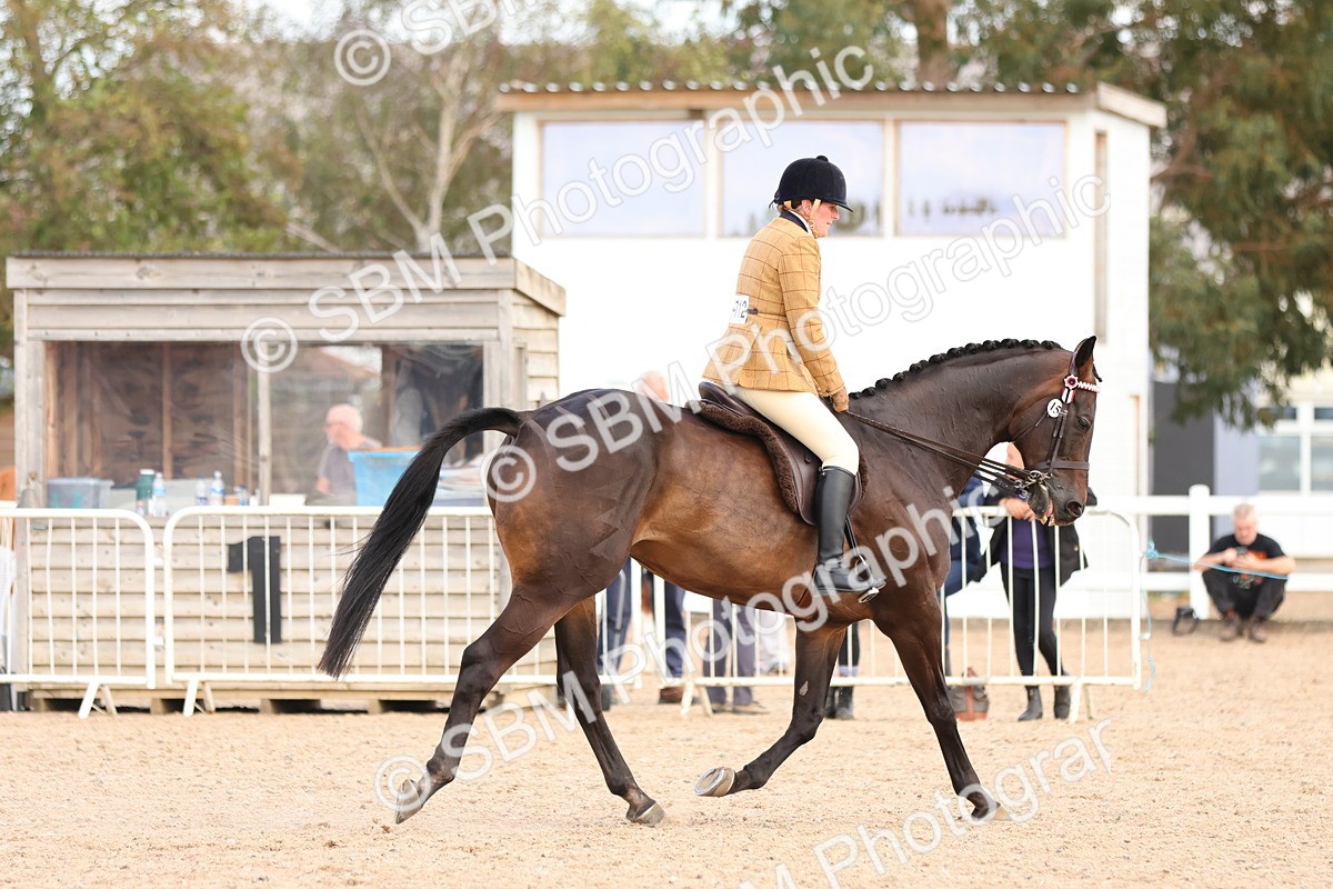 SBM_16272 - Class 217 - Ridden Retired Racehorse