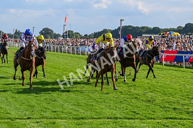 220826-Race 7-Raammee-1873 - Race 7 17.20pm Sky Bet Dav Reid Finale Handicap