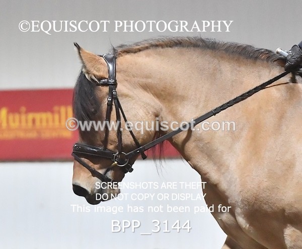 BPP_3144 - INTRO TEST 3