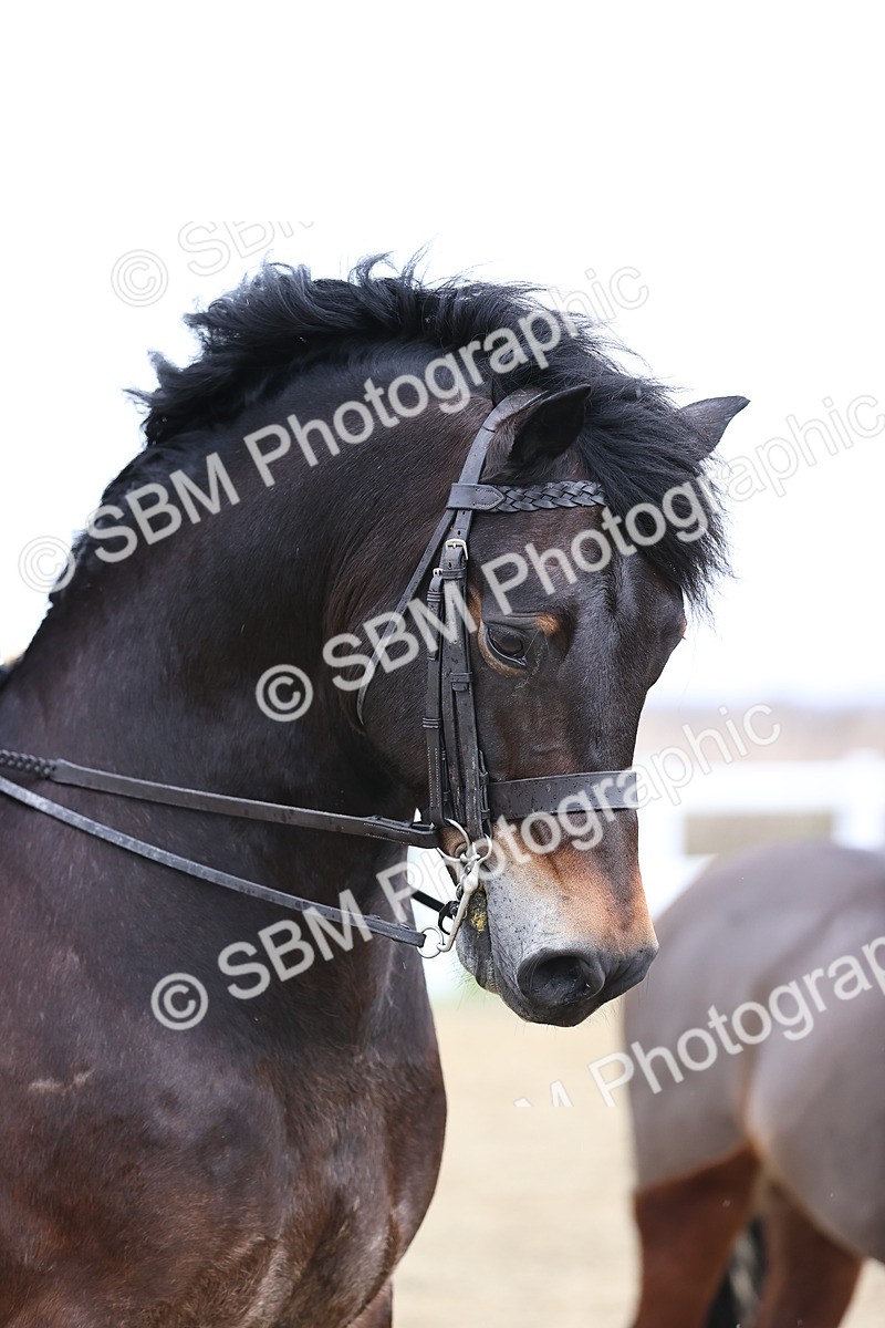 SBM_008266 - Class 33-34 - M&M Open Ridden Small-Large