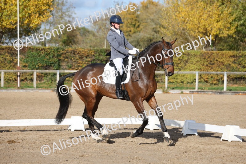 20251102-1058 - Class 5 - Elementary 5