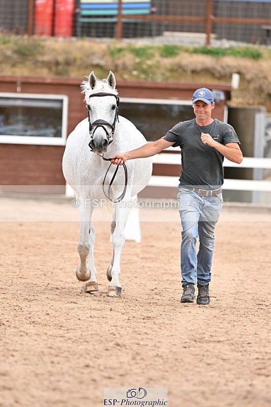 250716-152321-01903 - Trot Up 2.30 to 3.30