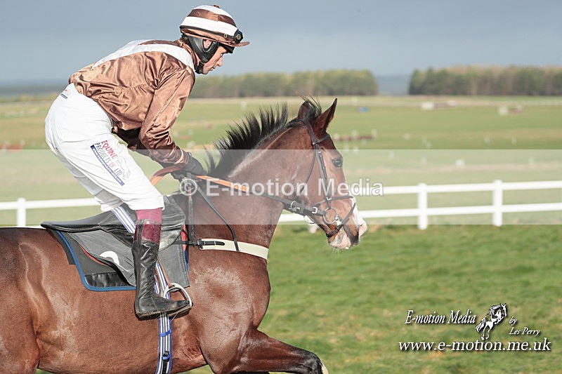PtP 311223 488 - Larkhill Racing Club Point-to-Point 31/12/23