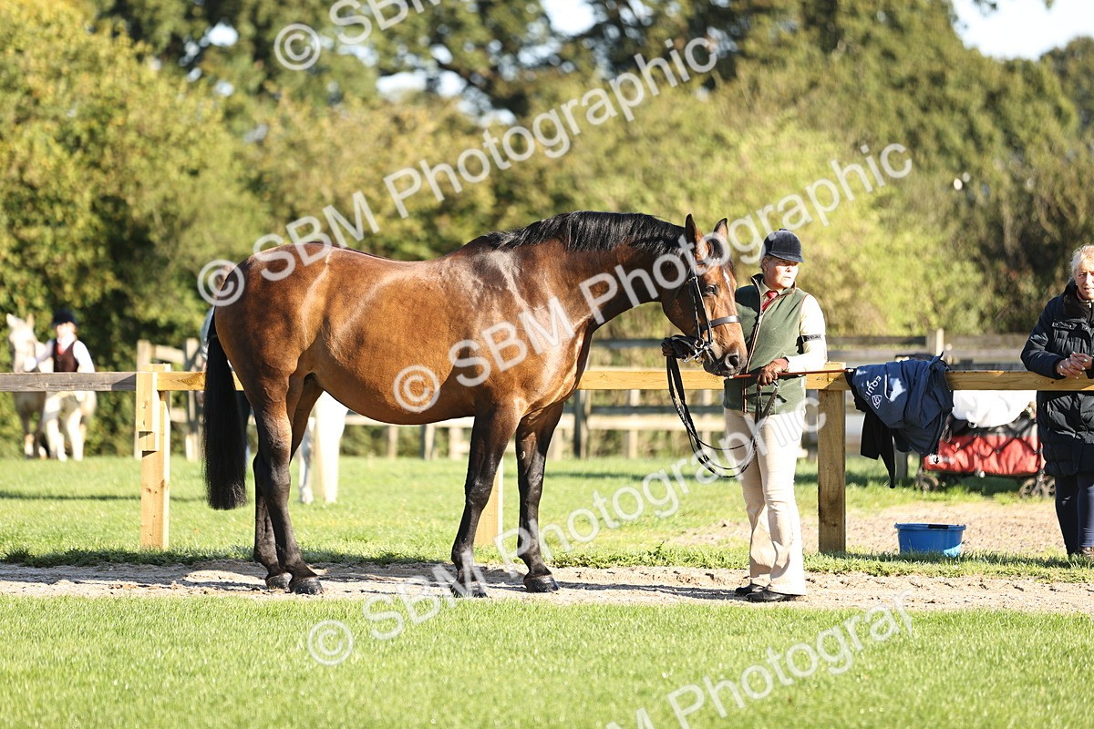 SBM_15694 - S1 - TSR in Hand Horse & Pony Showing