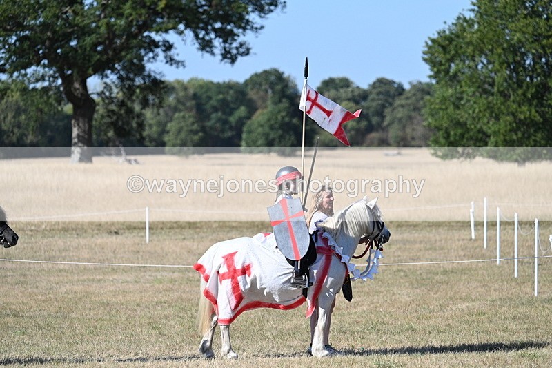 WJ7_2767 - Class 45 Fancy Dress (My Fav)
