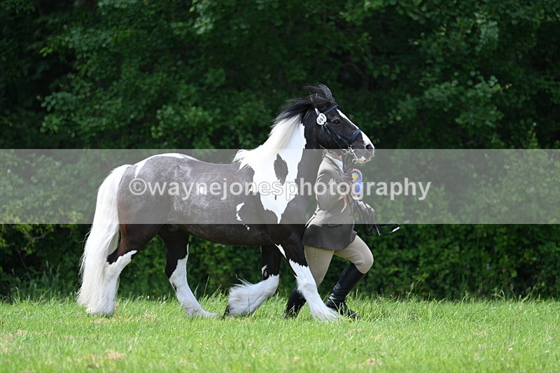 WJ7_1606 - Class 11 Condition & Turnout