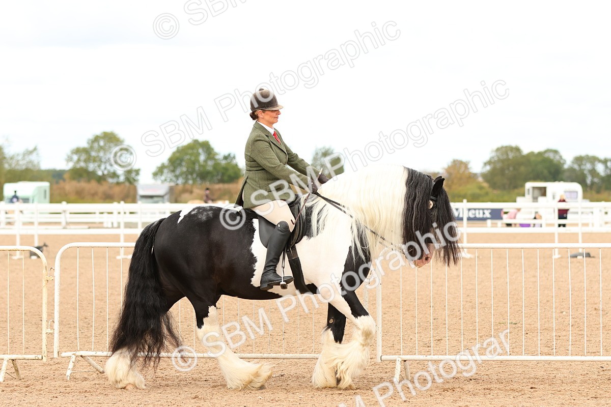 SBM_15646 - Class 215 - Ridden Traditional - Native Cobs