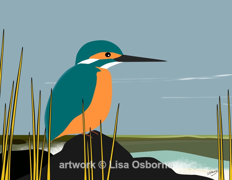 Kingfisher - DIGITAL ARTWORK