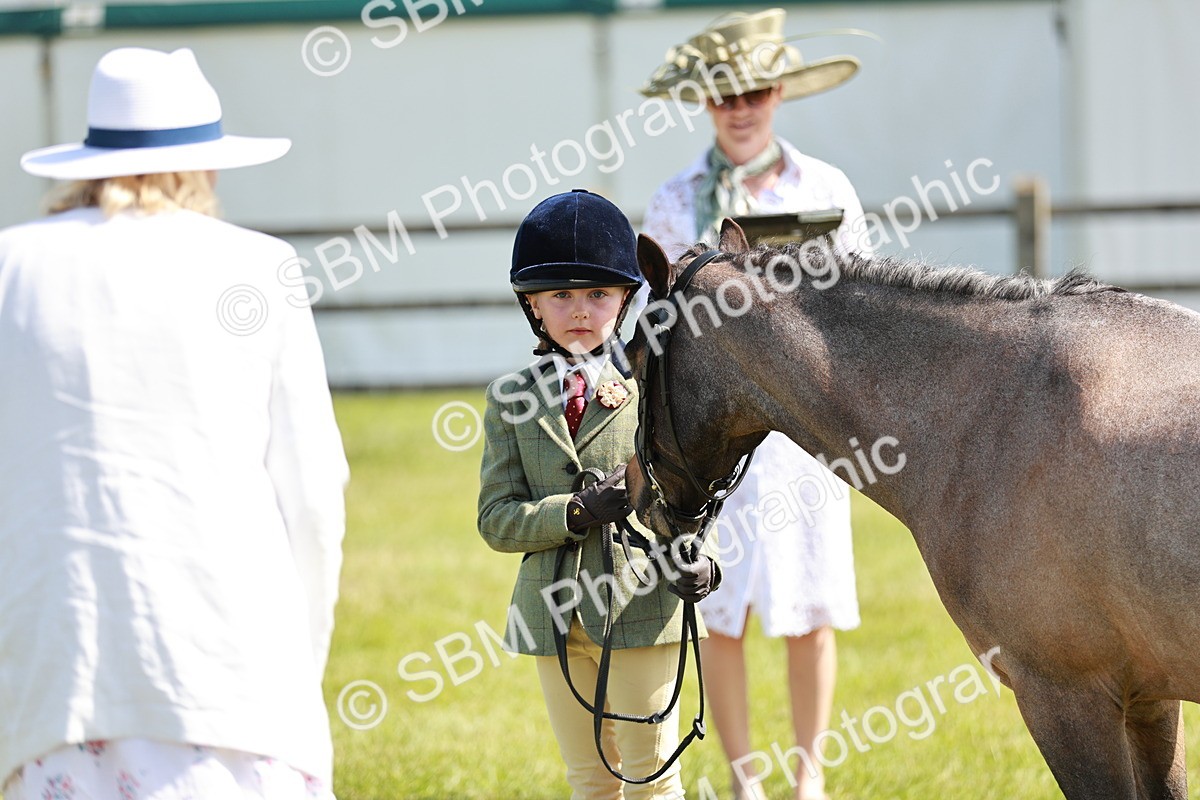 SBM_13517 - Class 108-109 - BSPS LIHS Open Gradle & Nursery Stakes
