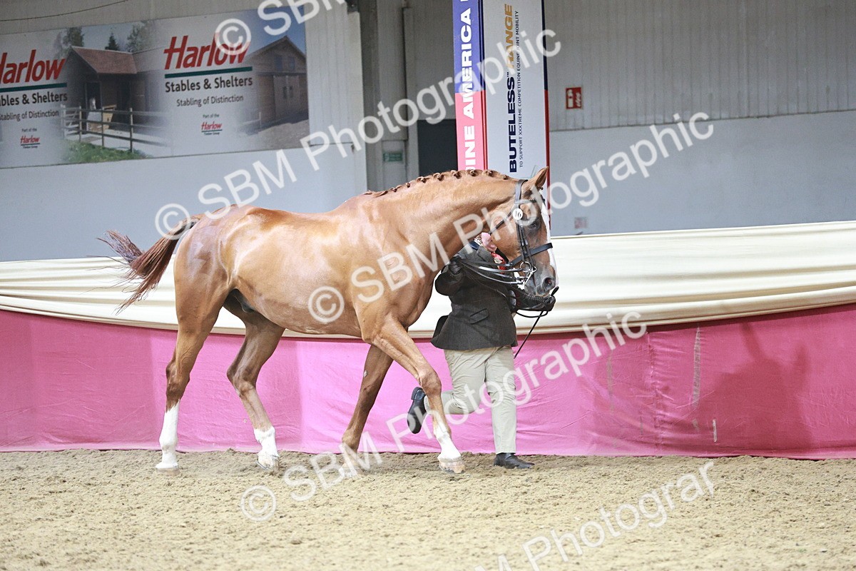 SBM_06633 - Regional - IH Champs