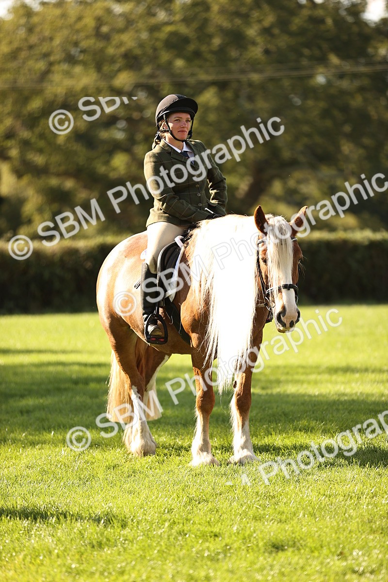 SBM_26449 - S6 - Novice & Newcomers Ridden Horse