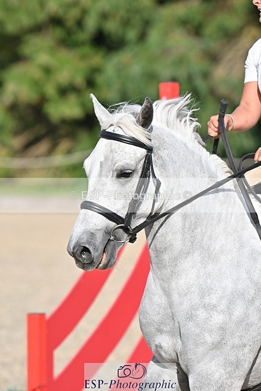 230909-163152-07048 - Cls 19 Club 70cm