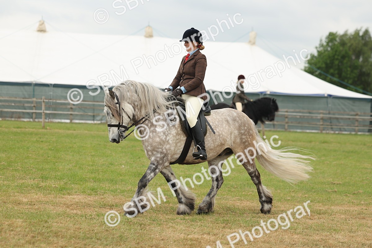 SBM_08970 - Class 78-80 - Ridden M&M Non Welsh Ponies