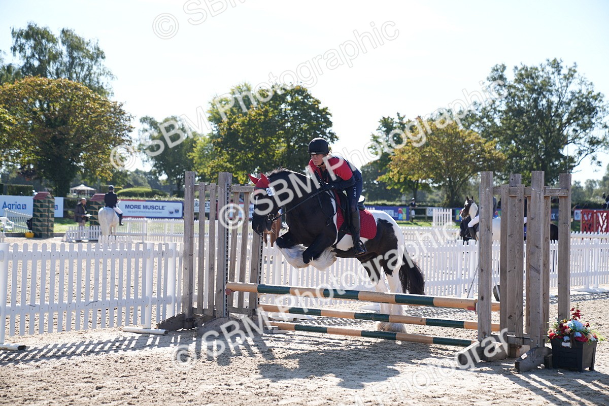 SBM_17615 - J58 - Clear Round 60cm