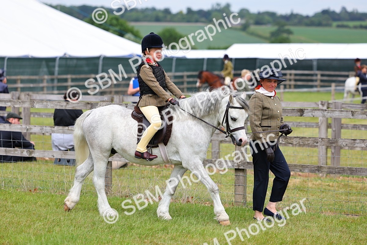SBM_08066 - Class 42-43 - LIHS BSPS Heritage Working Sports Pony