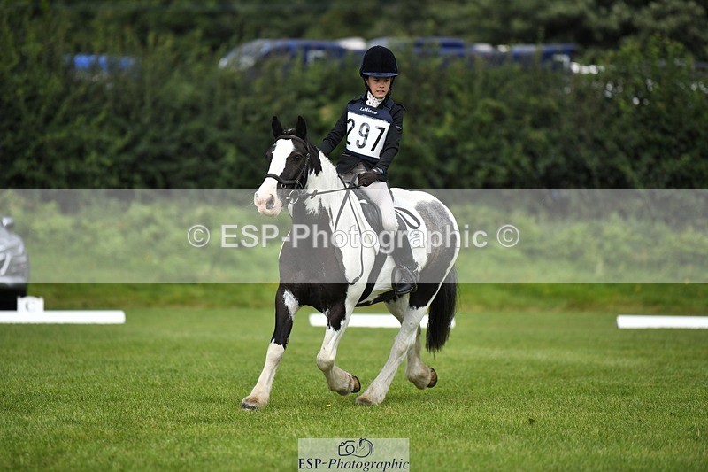 230826-112940-15884 - Sections C & D 10 to End