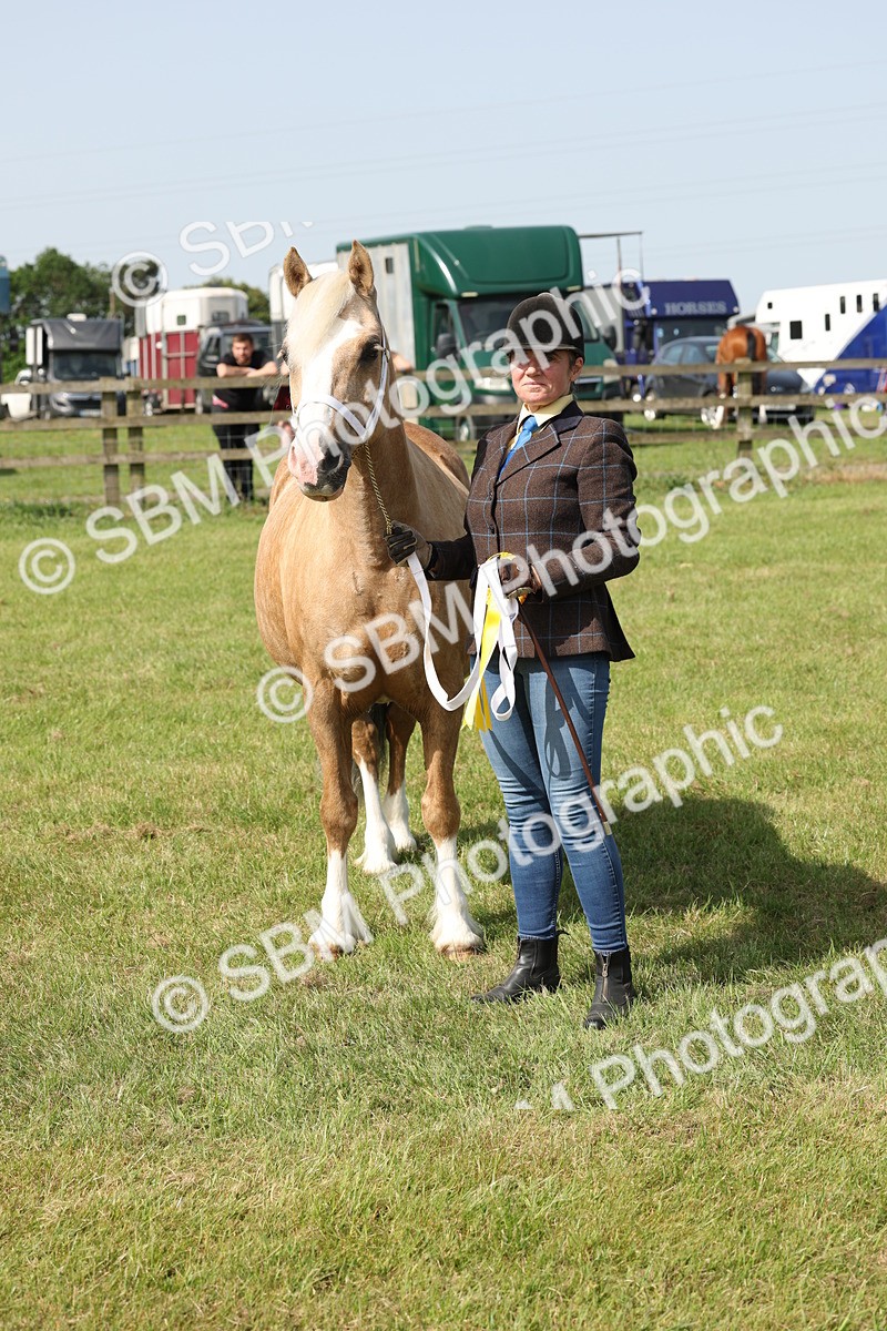 SBM_02165 - Class 6-13 - Mountatin and Moorland In Hand Welsh Breeds