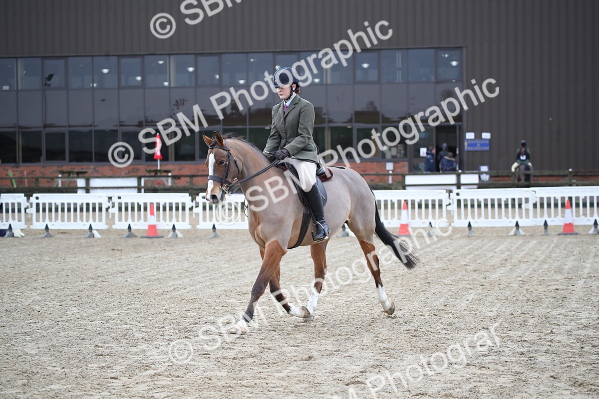 SBM_004677 - Class 5-9 - NPS In Hand-Show Hunter-Intermediate Ridden Inc Ridden Championship