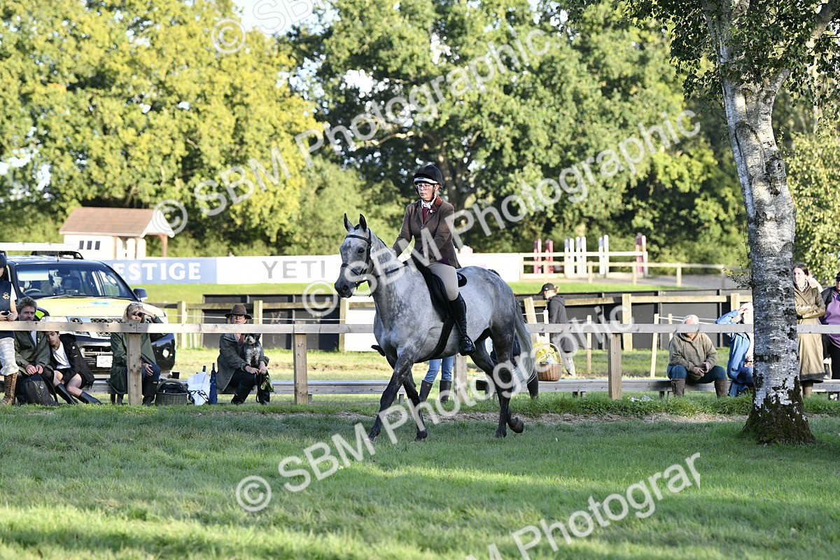 SBM_53544 - S14 - Riding Club Horse