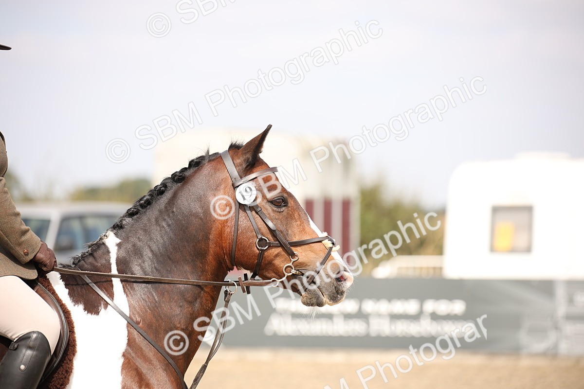SBM_14946 - Class 408a - Working Veteran 70cm (15-19