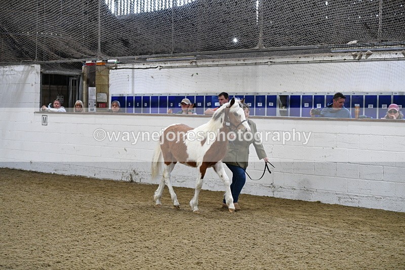 WJ5_3394 - Class 1 Youngstock