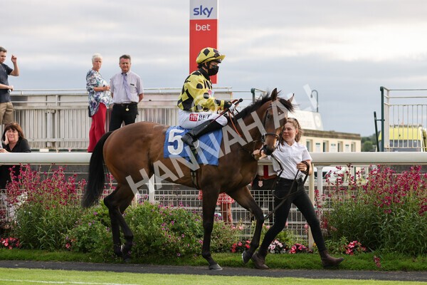 yr23072021r3-10 - Race 3 7.00pm The JKH 80th Birthday Celebration EBF Novice Median Auction Stakes (Plus 10 Race)