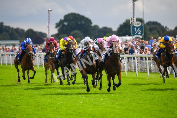 240823-Race 4-Warm Heart-0514 - Race 4 3.35pm Pertemps Network Yorkshire Oaks