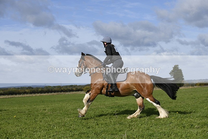 _DSC5699 - Time 10:49 to 11:23