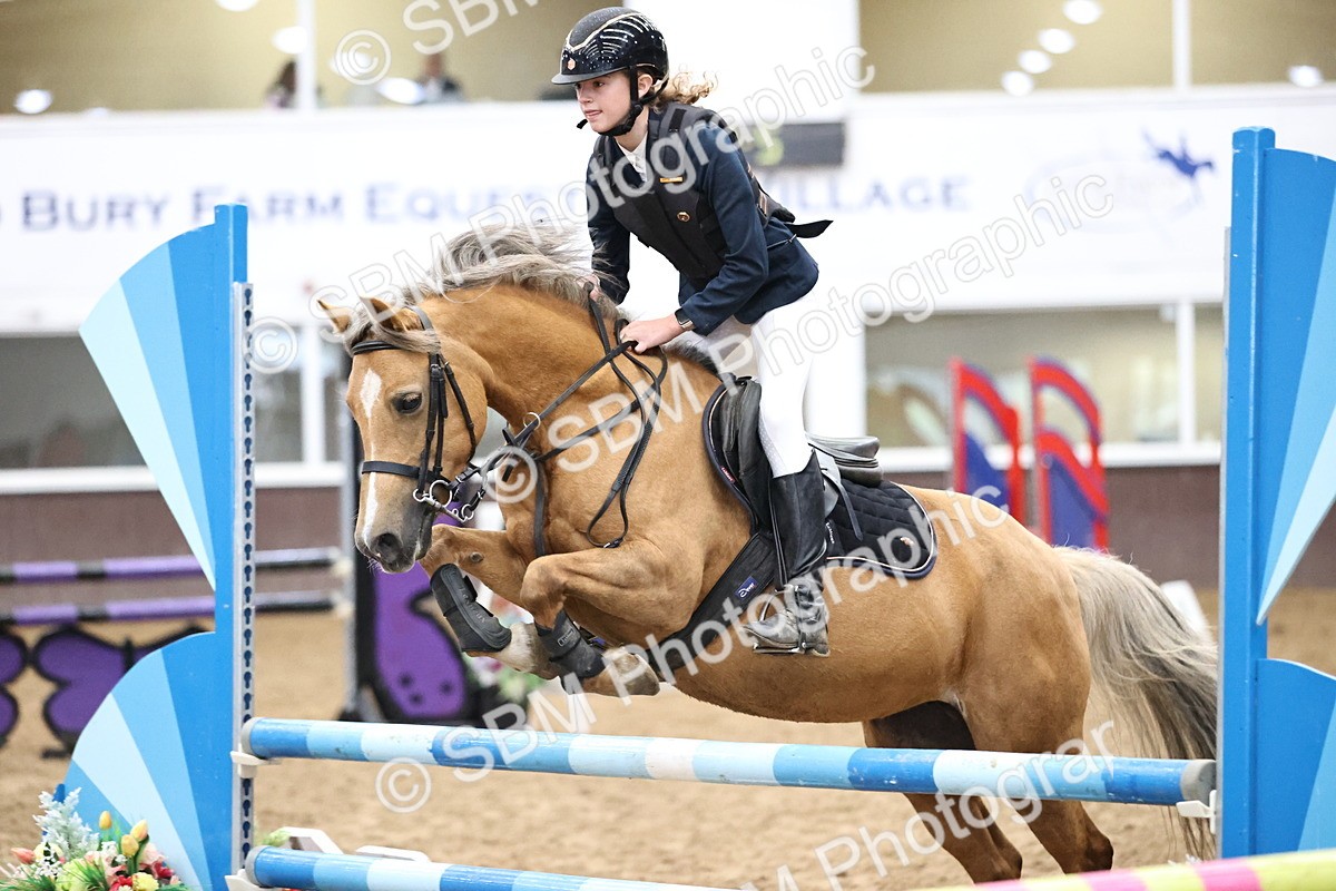SBM_000154 - Class 2 - Pony British Novice - 80cm Open