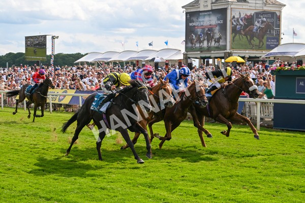 310525-Race 6-Dantes Lad-0092 - Race 6 4.25pm Royal Yorkshire Regiment Handicap