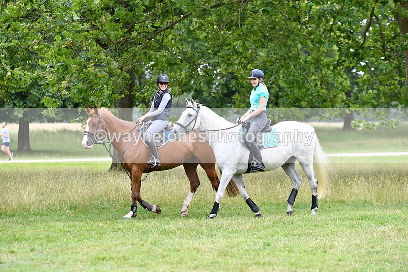 WJ5_0888 - Time at Jump 11:31 to 12:19