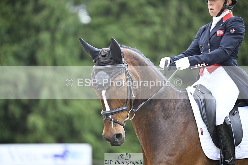 000101-204916-04230 - 409-MHS_SEVENTEEN-Rosalind_Canter